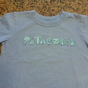 Patagonia Organic T-Shirt